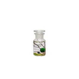 MARIMO IN VASO 100 ML