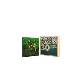 QUADRO 30X30 CM CON PIANTE STABILIZZATE PIETRE E LEGNO