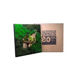 QUADRO 80X80 CM CON PIANTE STABILIZZATE PIETRE E LEGNO