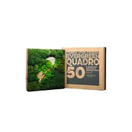 QUADRO 50X50 CM CON PIANTE STABILIZZATE PIETRE E LEGNO
