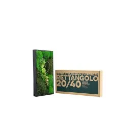 QUADRO 20X40 CM CON PIANTE STABILIZZATE PIETRE E LEGNO