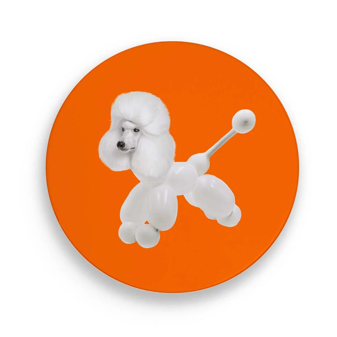 WD LifeStyle Sottopentola Ceramica D 18 Cm Decoro Cane