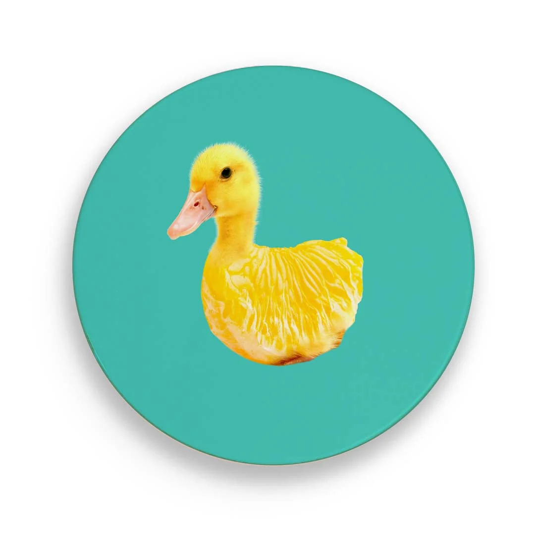WD LifeStyle Sottopentola Ceramica D 18 Cm Decoro Paperella