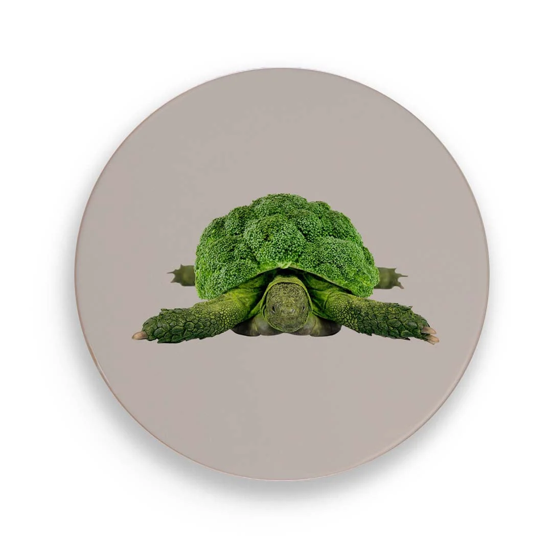 WD LifeStyle Sottopentola Ceramica D 18 Cm Decoro Tartaruga