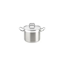 PROFESSIONAL PENTOLA CM 16 CON COPERCHIO INOX