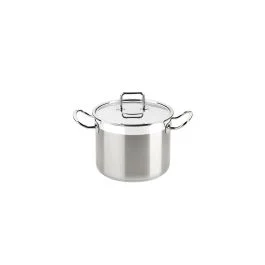 PROFESSIONAL PENTOLA CM 18 CON COPERCHIO INOX