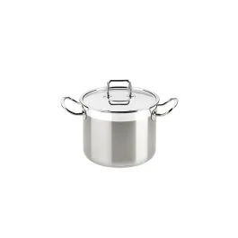 PROFESSIONAL PENTOLA CM 20 CON COPERCHIO INOX