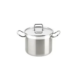 PROFESSIONAL PENTOLA CM 24 CON COPERCHIO INOX