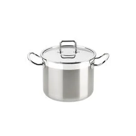 PROFESSIONAL PENTOLA CM 26 CON COPERCHIO INOX