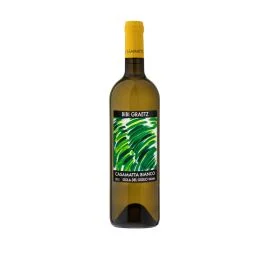 CASAMATTA BIANCO TOSCANA IGT 2024 0,75 LT