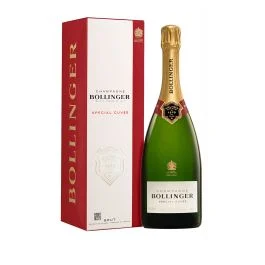 CHAMPAGNE AOC BRUT SPECIAL CUVEE 0,75 LT ASTUCCIATO