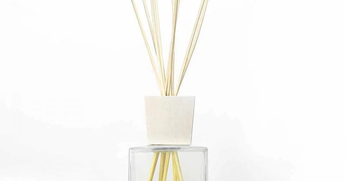 Profumatore Ambiente Cotone e Canapa 2,5 Lt con Bastoncini - Acquadipositano