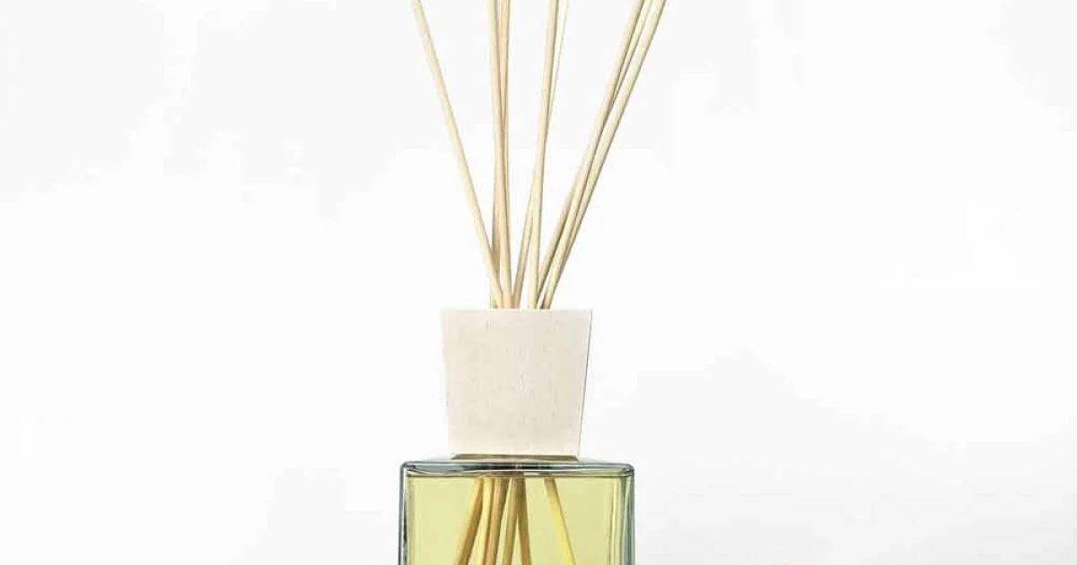 Profumatore Ambiente Fragranza Ambrata 2,5 Lt con Bastoncini - Sassidimatera