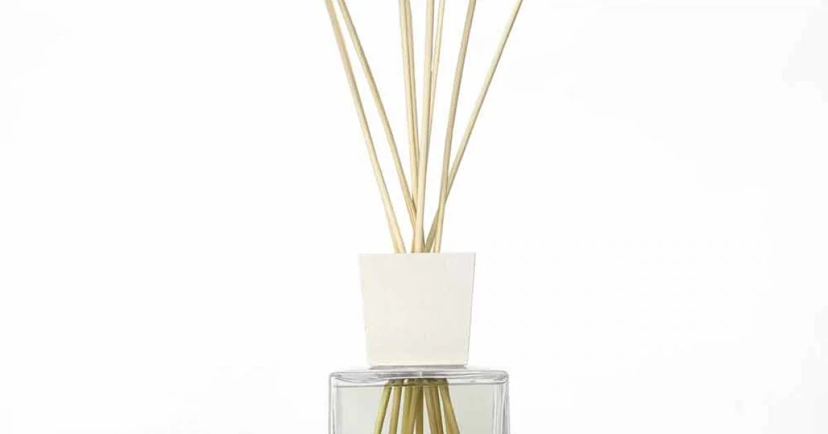 Profumatore Ambiente Fragranza Bamboo Lime 2,5 Lt con Bastoncini - Ariadicapri