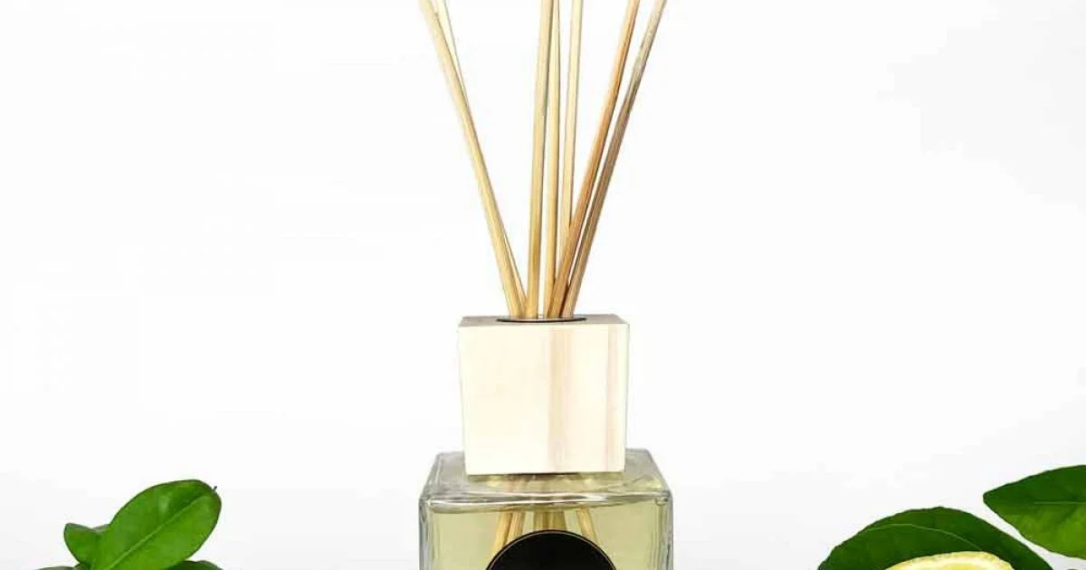 Profumatore Ambiente Fragranza Cuoio 200 ml con Bastoncini - Lavecchiavenezia