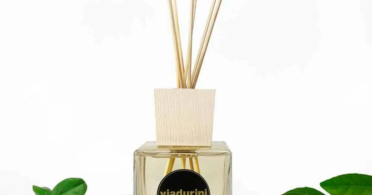 Profumatore Ambiente Fragranza Cuoio 500 ml con Bastoncini - Lavecchiavenezia