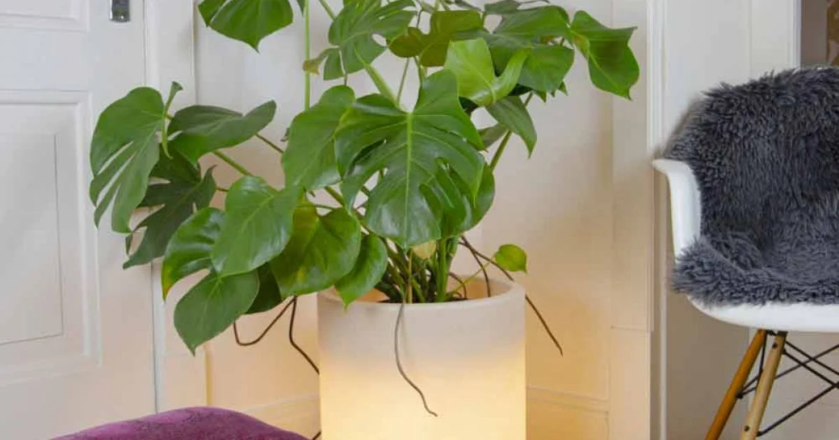 Vaso con Illuminazione Solare o Led Design da Interno o Esterno - Cilindrostar