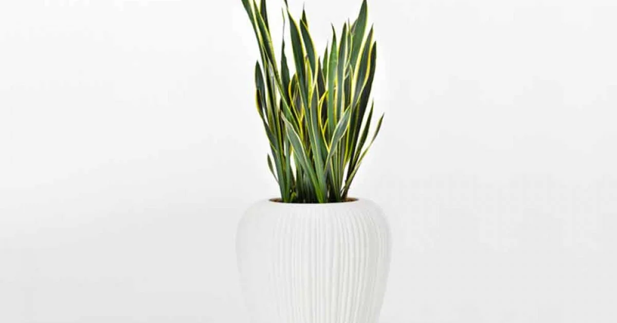 Vaso di Decoro per Interni o Esterni in Polietilene 2 Pezzi - Skin by Myyour