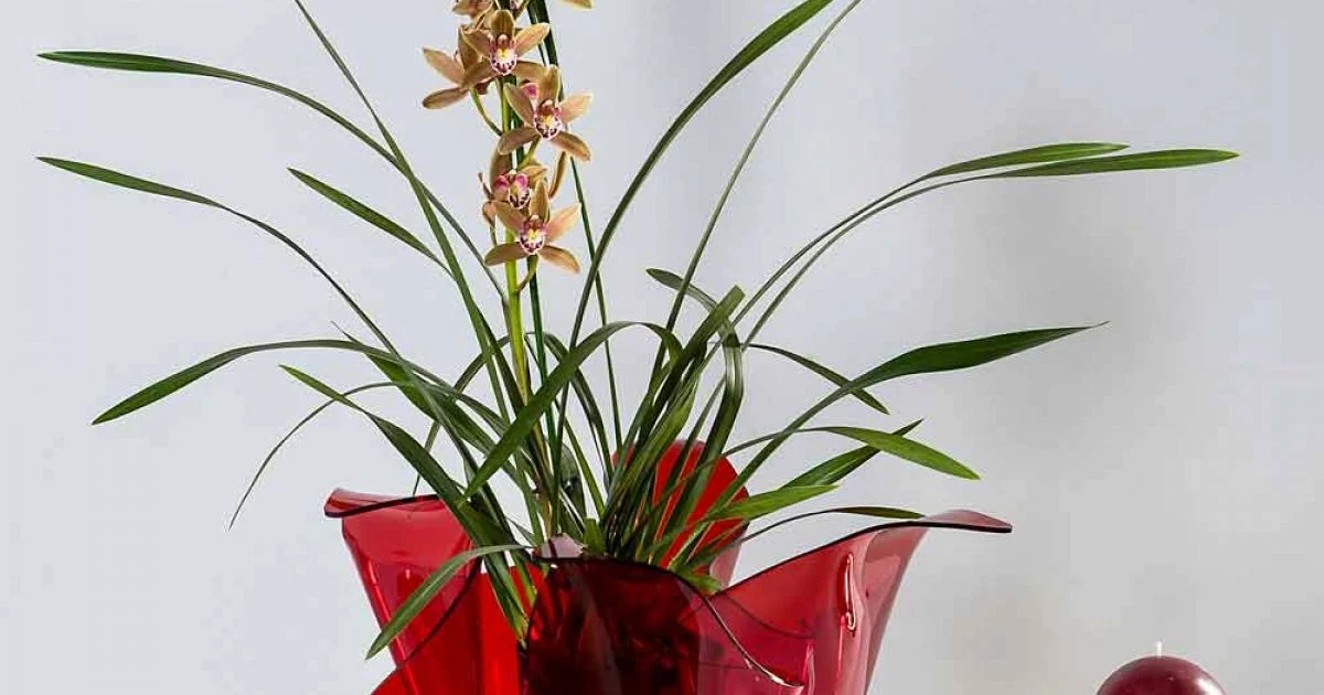 Vaso interno/esterno multiuso Pina rosso, design moderno made Italy