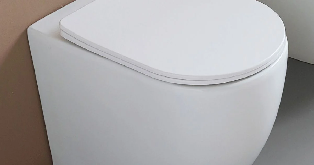 Vaso Wc a Terra Sedile Soft Close Termoindurente in Ceramica Bianca - Olmo