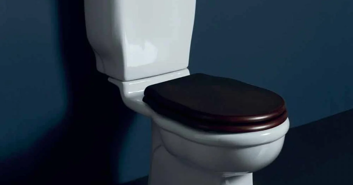 Vaso WC monoblocco in ceramica bianca Style 72x36 cm, made in Italy