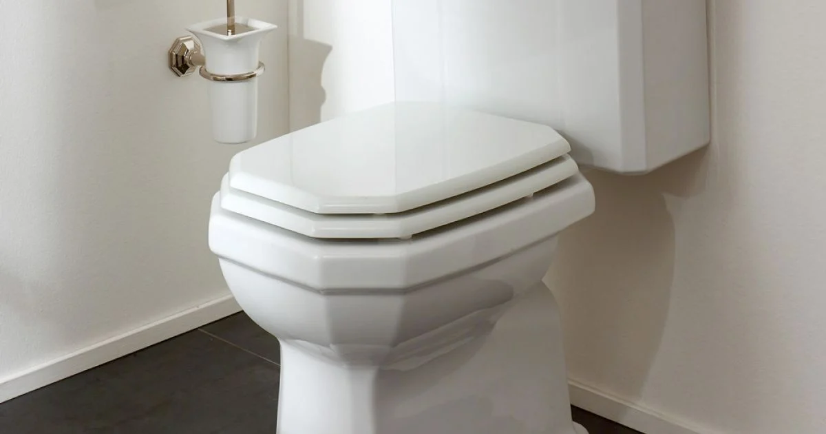 Vaso WC Monoblocco in Ceramica Bianca Vintage, Made in Italy - Nausica