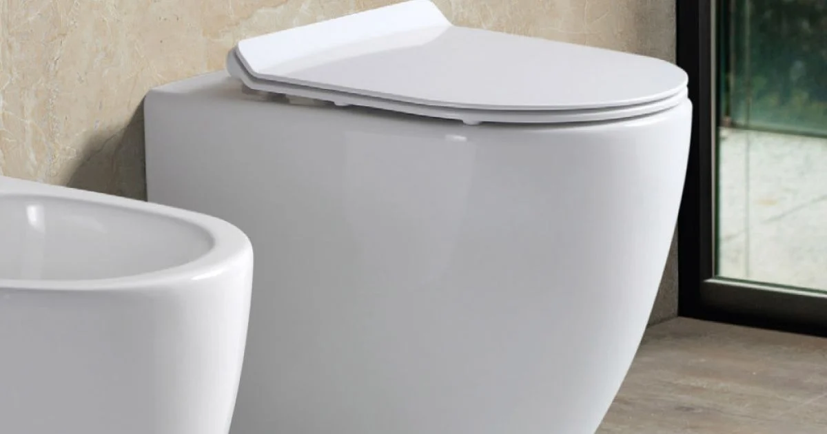 Vaso Wc Rimless a Terra in Ceramica Bianca e Sedile Soft Close - Aster