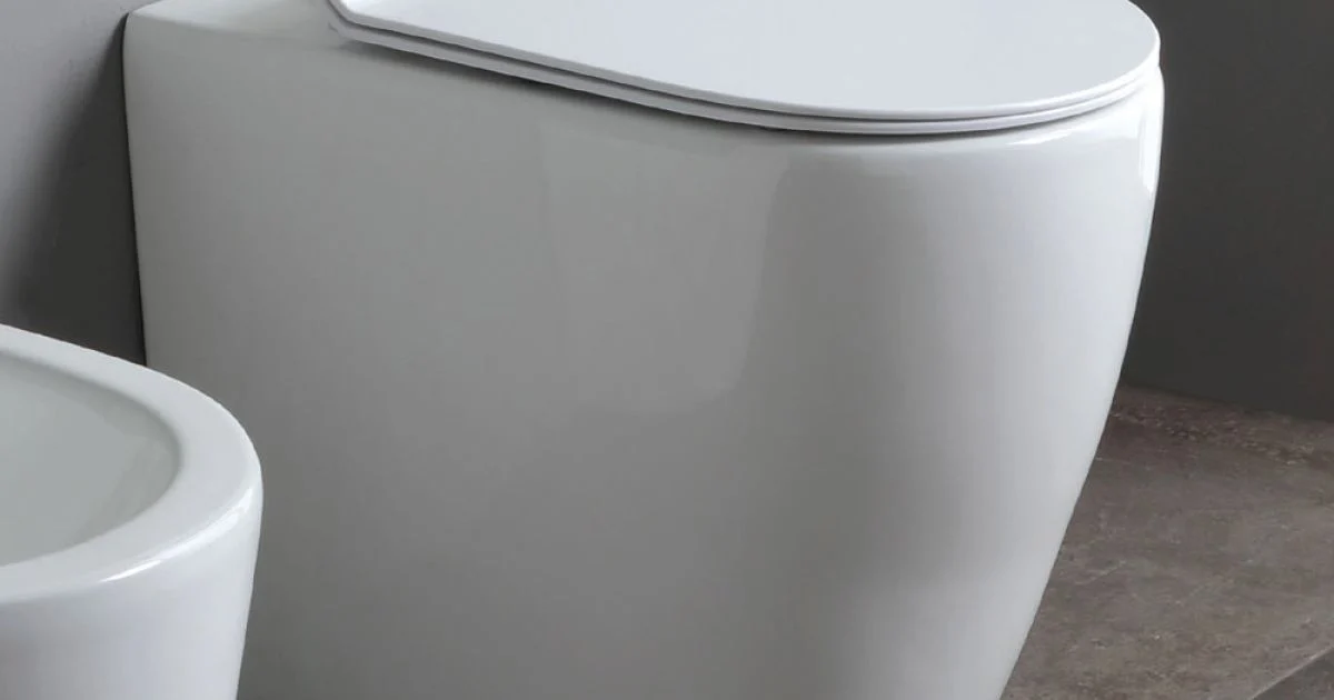 Vaso Wc Rimless e Sedile Soft Close Termoindurente in Ceramica - Oleandro