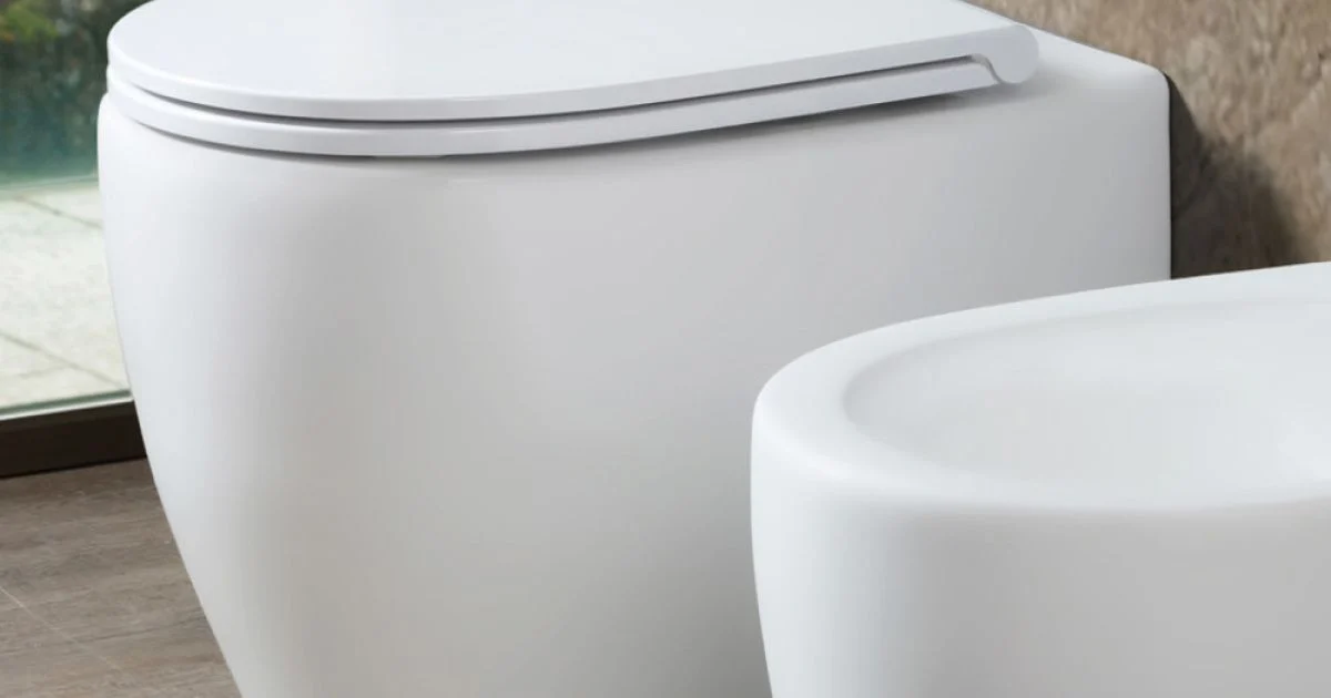 Vaso Wc Rimless in Ceramica Opaca Bianca e Nera con Sedile Soft Close - Aster