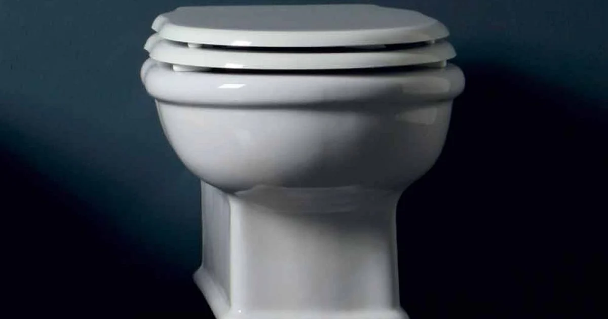 Vaso WC sospeso di design in ceramica bianca Style 54x36 made in Italy