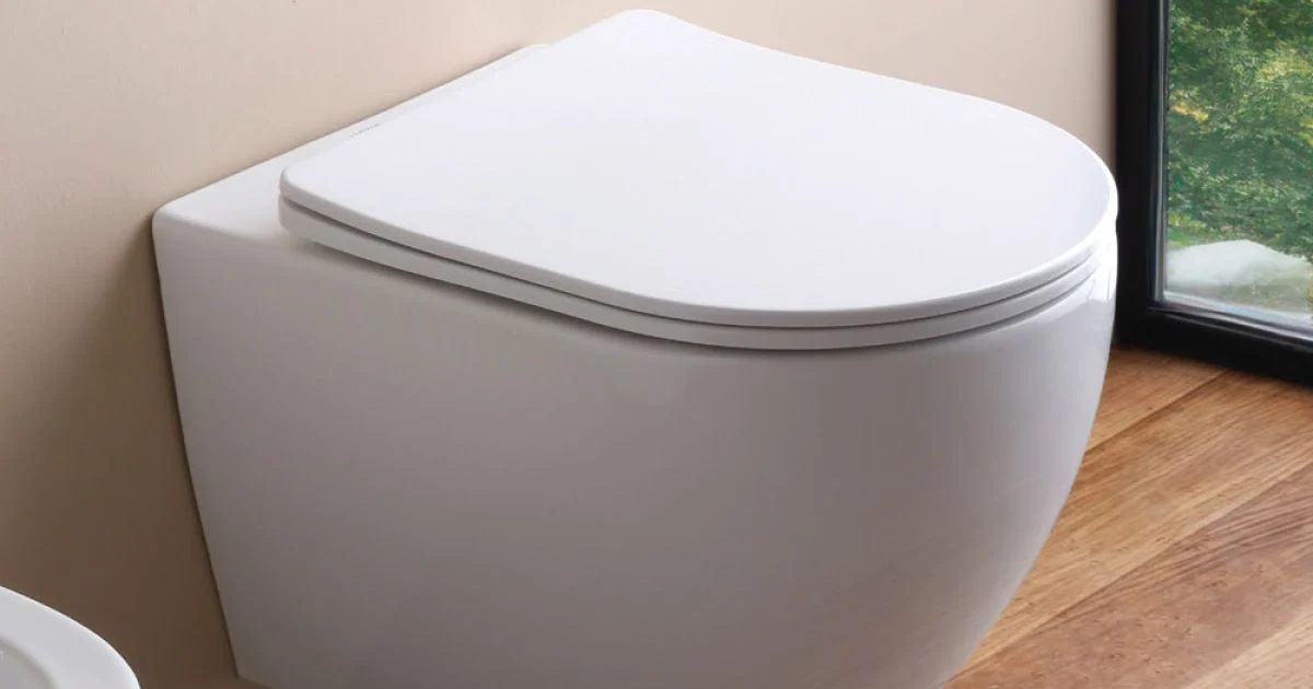 Vaso Wc Sospeso Tecnologia Rimless e Sedile Soft Close in Ceramica - Ginepro