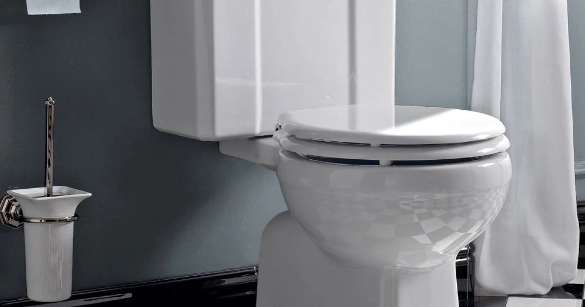Water Monoblocco Vintage in Ceramica Bianca con Cassetta Made in Italy – Marwa