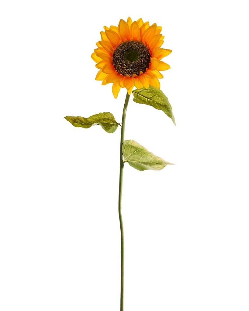 ARPIMEX Girasole Artificiale H 100 Cm D 25 Cm Giallo Verde
