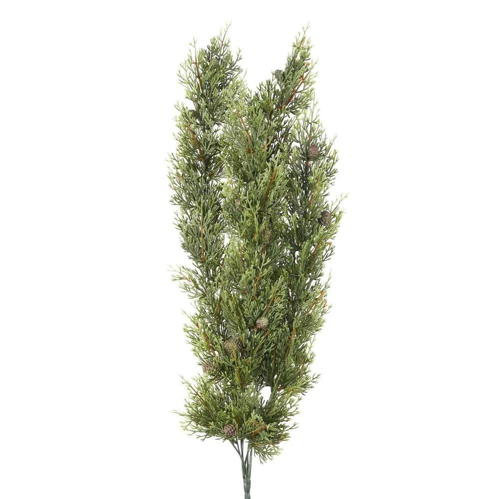 ARPIMEX Cascante Natale Thuia 70 Cm Verde
