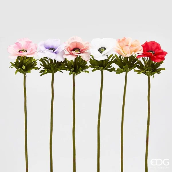 EDG Enzo De Gasperi Anemone Chic Ramo H 50 Cm Multicolor 6 Pz
