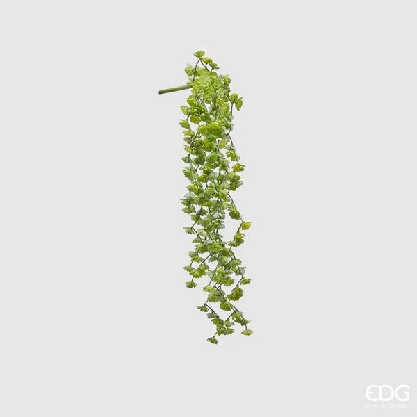 EDG Enzo De Gasperi Echeveria Olis Cespuglio Cadente H 44 Cm Pianta Artificiale Verde Chiaro