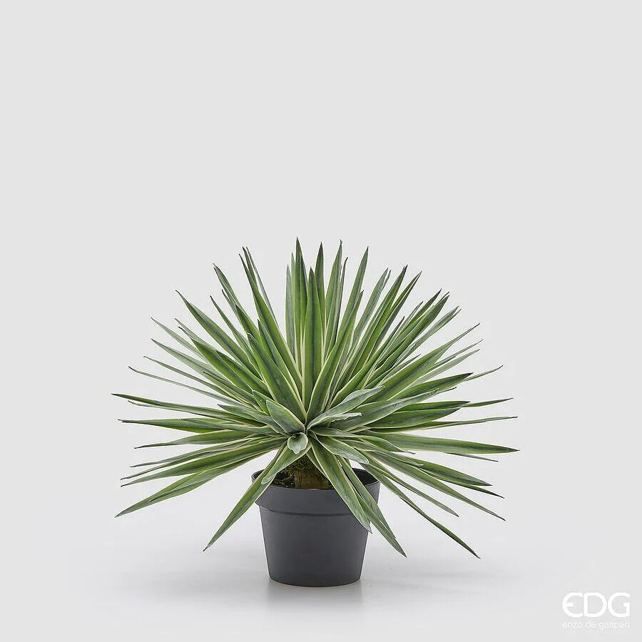 EDG Enzo De Gasperi Agave con Vaso Pianta Artificiale H 45 Cm Verde