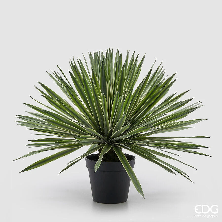 EDG Enzo De Gasperi Agave con Vaso Pianta Artificiale H 65 Cm Verde