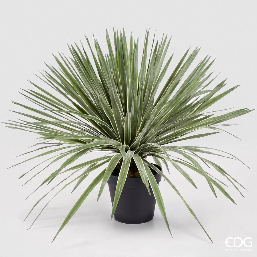 EDG Enzo De Gasperi Agave con Vaso Pianta Artificiale H 80 Cm Verde