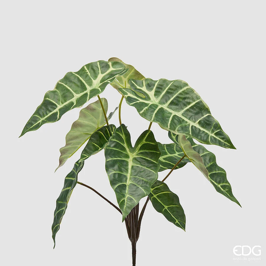 EDG Enzo De Gasperi Alocasia Cespuglio x10 H 40 Cm Pianta Artificiale Mix Verde