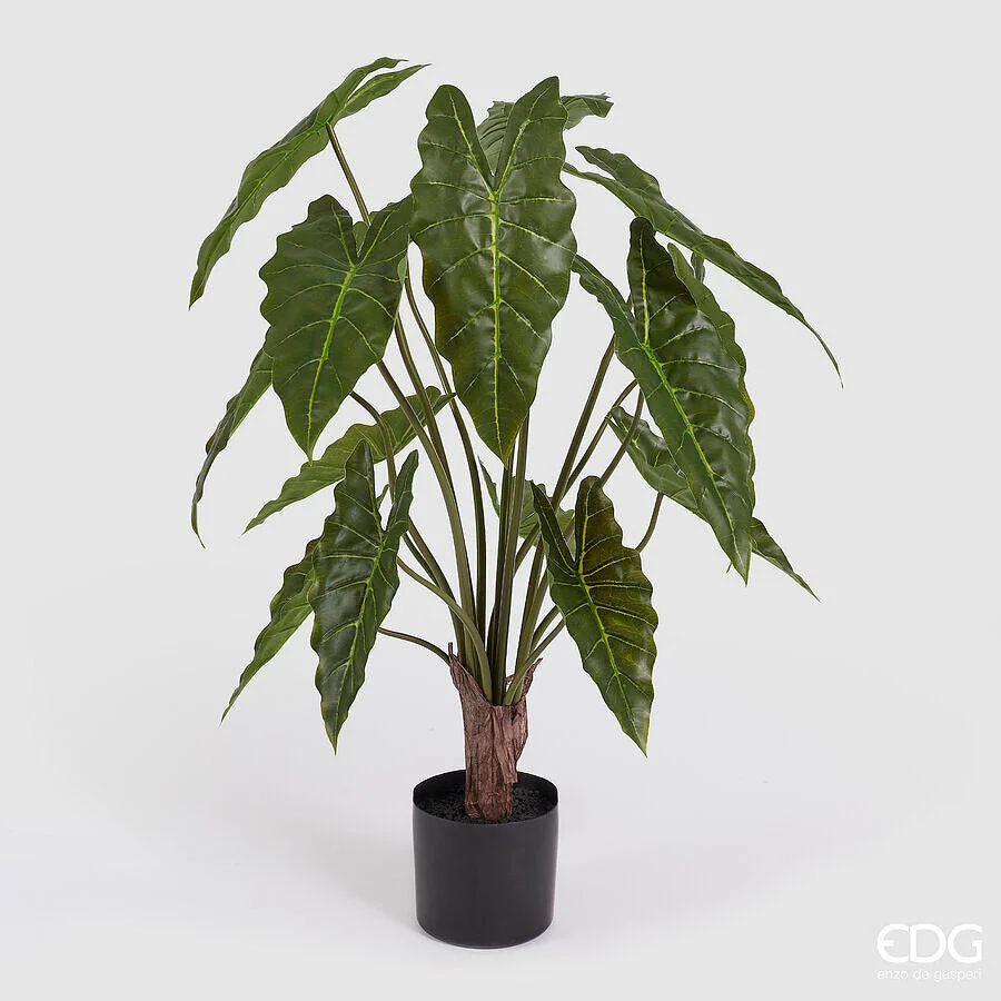 EDG Enzo De Gasperi Alocasia con Vaso H 90 Cm Pianta Artificiale Verde