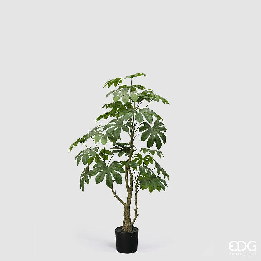 EDG Enzo De Gasperi Aralia Vogue con Vaso Pianta Artificiale H 144 Cm Verde