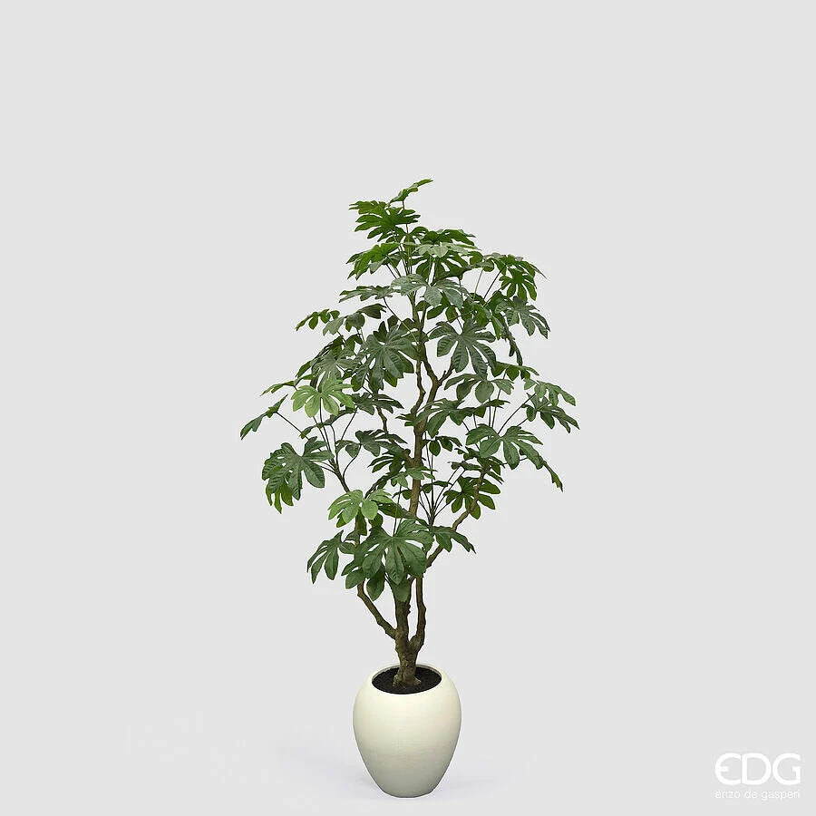 EDG Enzo De Gasperi Aralia Vogue con Vaso Pianta Artificiale H 230 Cm Verde