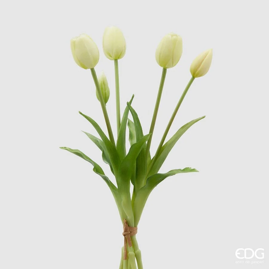 EDG Enzo De Gasperi Bouquet di 5 Tulipani Chiusi Gomma Olis H 40 Cm Champagne