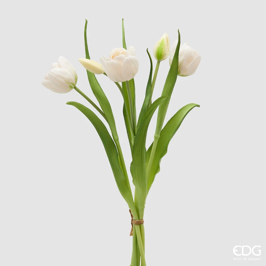 EDG Enzo De Gasperi Bouquete Tulipano Chiuso X4 H 40 Cm con Bocciolo Bianco