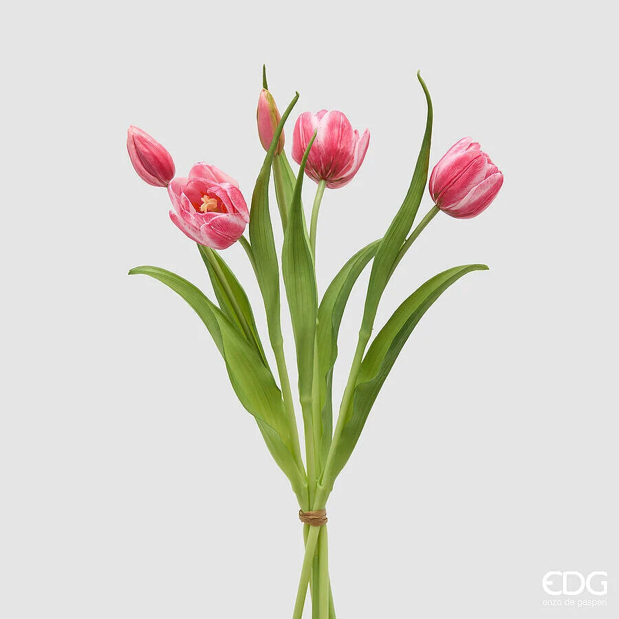 EDG Enzo De Gasperi Bouquete Tulipano Chiuso X4 H 40 Cm con Bocciolo Mauve