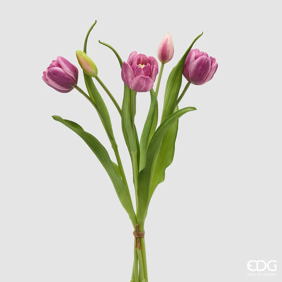 EDG Enzo De Gasperi Bouquete Tulipano Chiuso X4 H 40 Cm con Bocciolo Viola Mix
