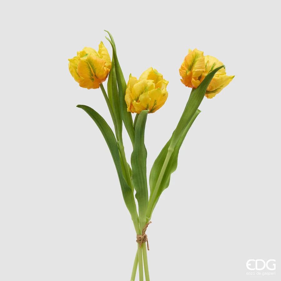 EDG Enzo De Gasperi Bouquete Tulipano Parrot X3 H 40 Cm con Bocciolo Giallo