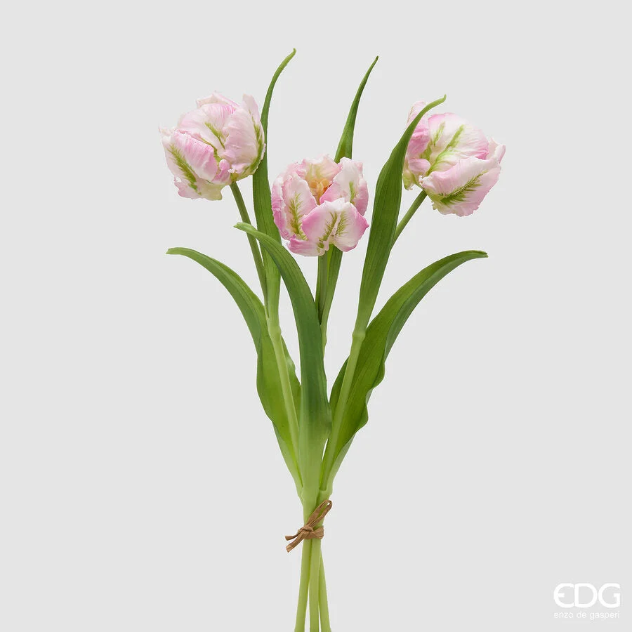 EDG Enzo De Gasperi Bouquete Tulipano Parrot X3 H 40 Cm con Bocciolo Lilac