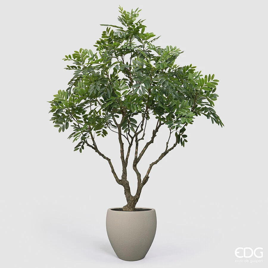 EDG Enzo De Gasperi Dalbergia Vogue con Vaso Pianta Artificiale H 240 Cm Verde